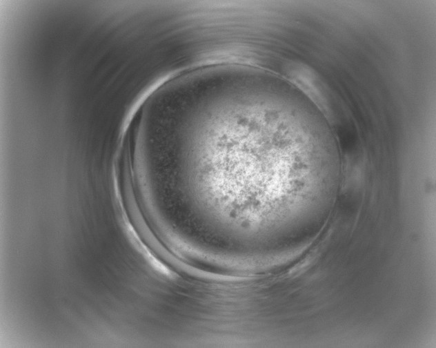 X0000068850812200605051211