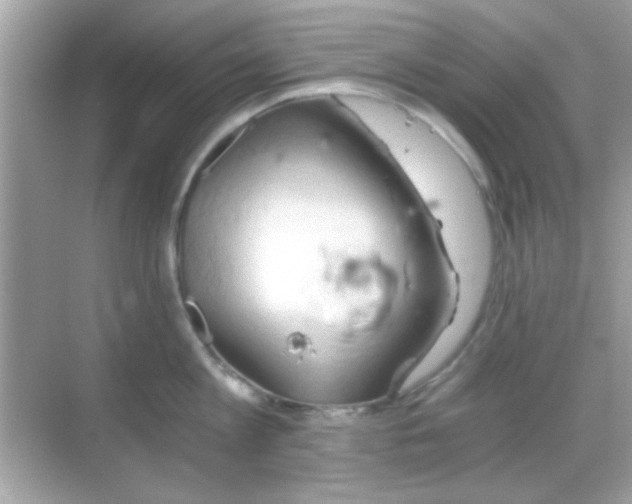 X0000068850813200605051211