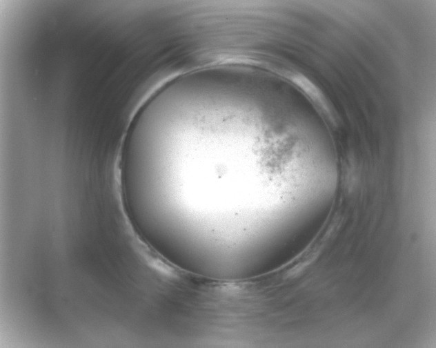 X0000068850814200605051211