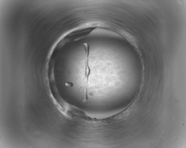 X0000068850816200605051211