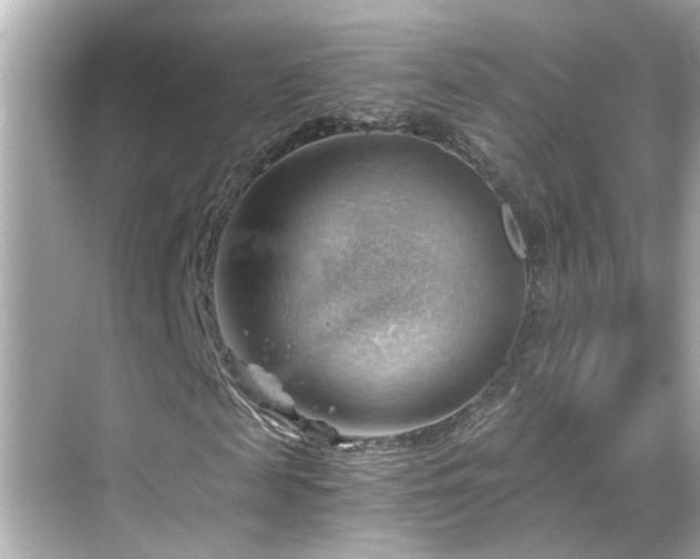 X0000068850817200605051210