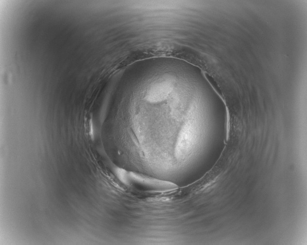 X0000068850818200605051210