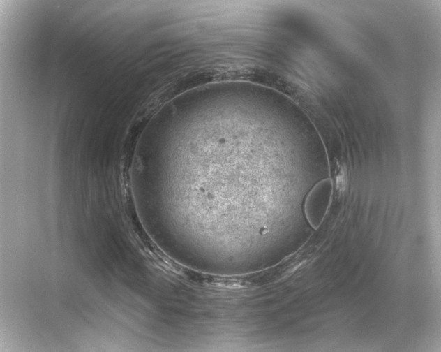 X0000068850819200605051210