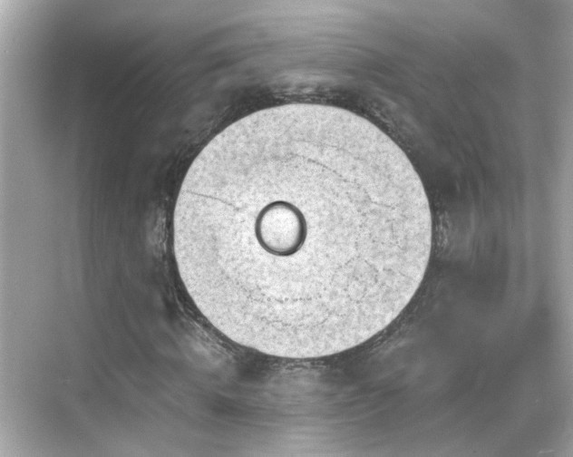 X0000068850820200605051210