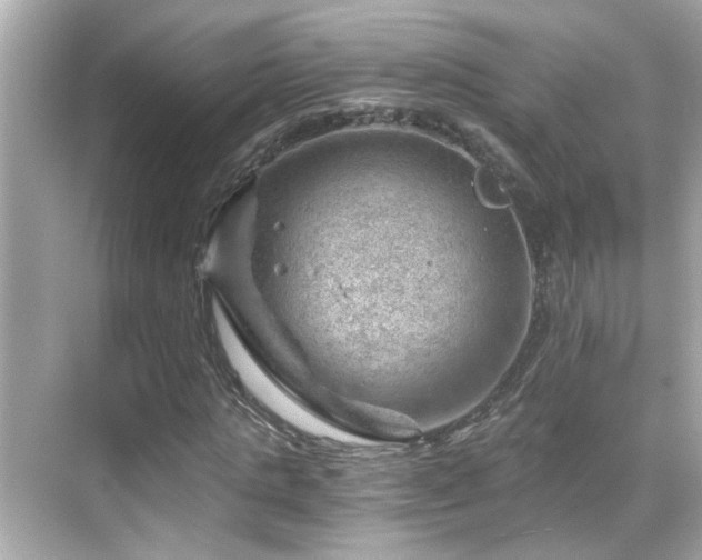 X0000068850821200605051210