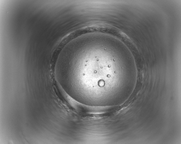 X0000068850822200605051210