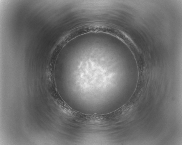 X0000068850823200605051210