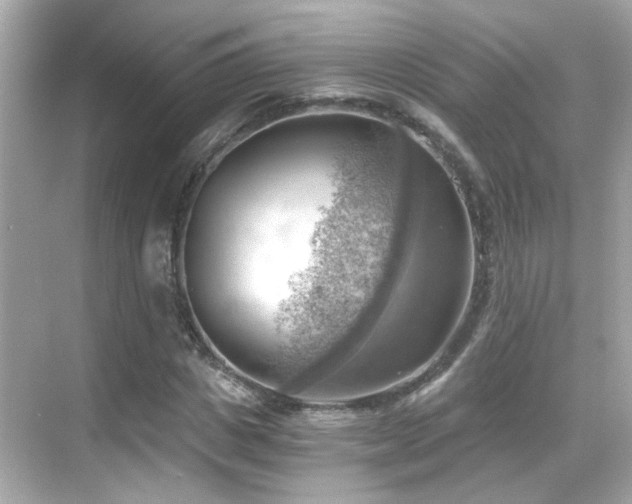 X0000068850825200605051210