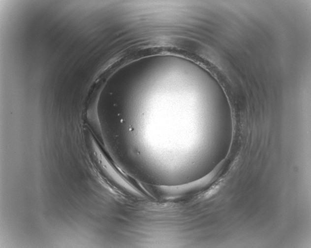 X0000068850826200605051210