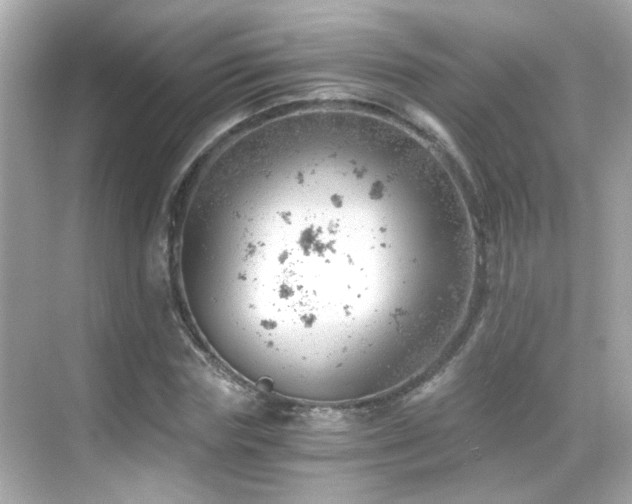 X0000068850827200605051210