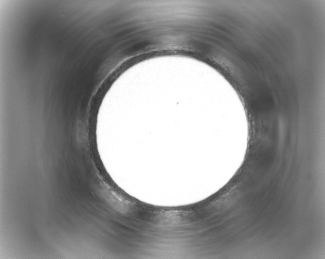 X0000068850828200605051210