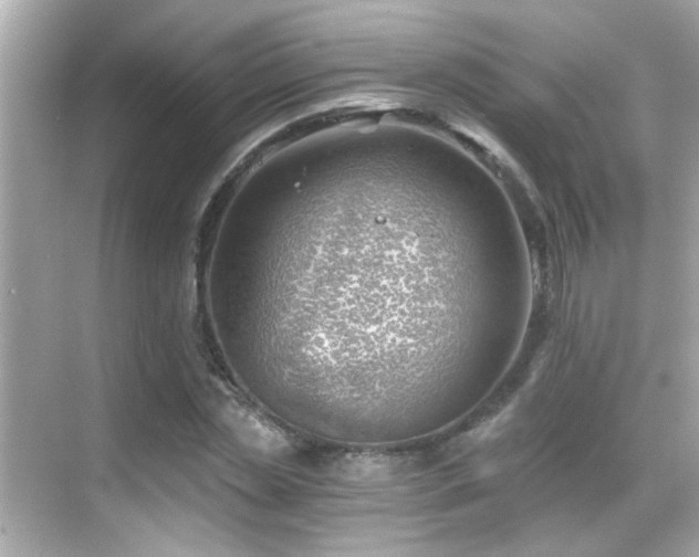 X0000068850829200605051210