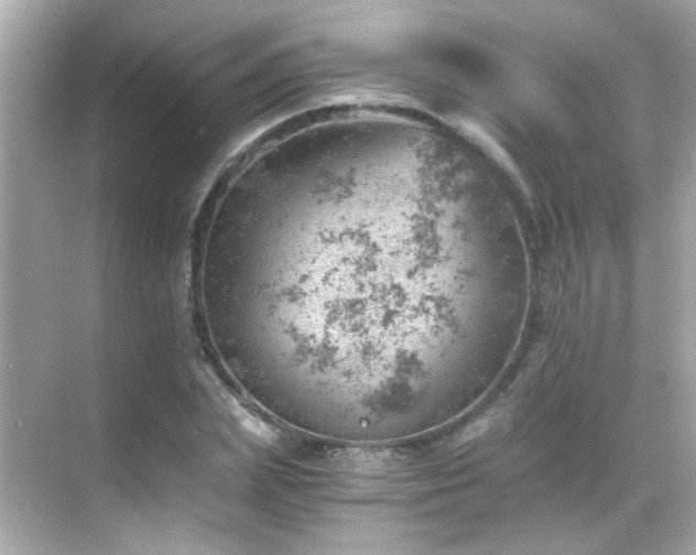 X0000068850831200605051210