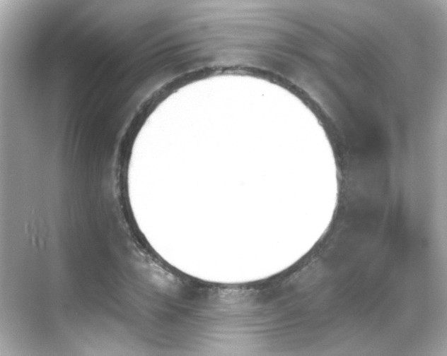 X0000068850832200605051210