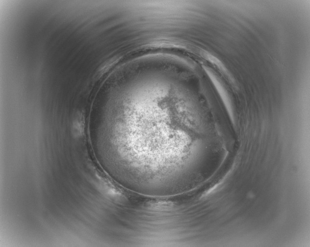 X0000068850833200605051210