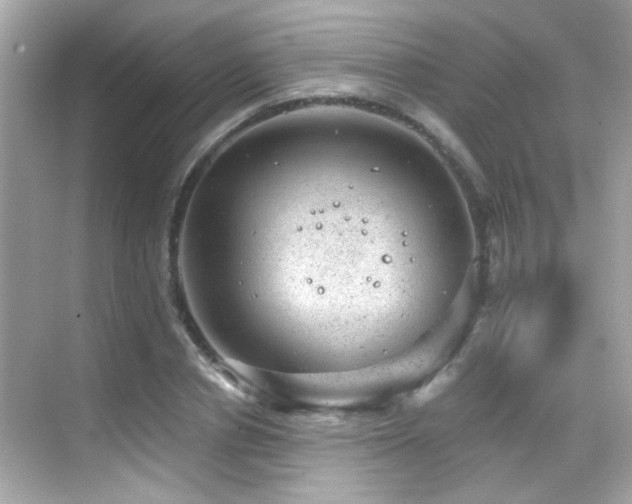 X0000068850834200605051210