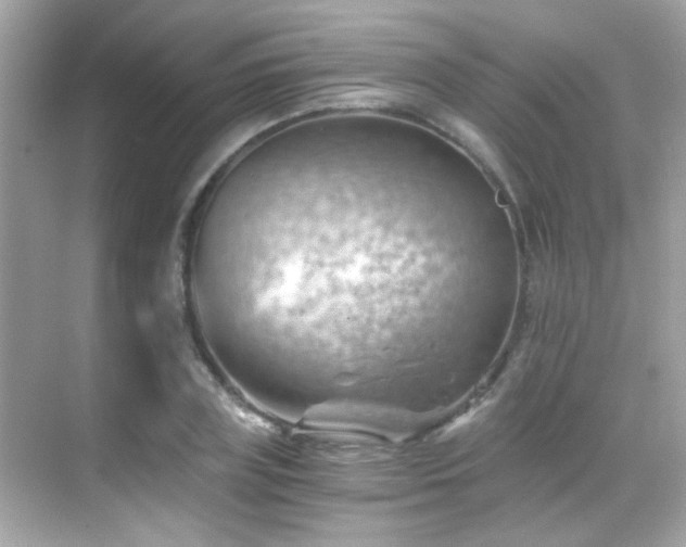 X0000068850835200605051210