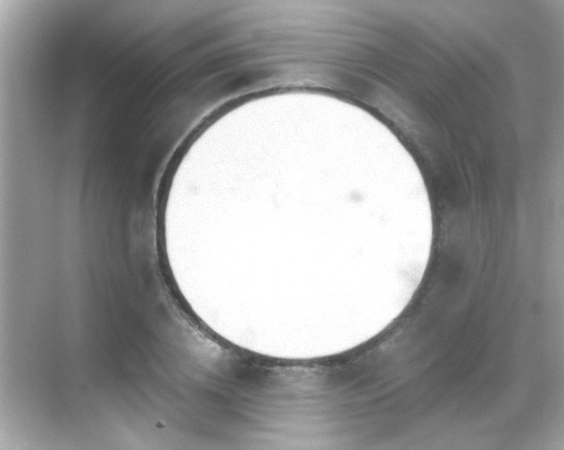 X0000068850836200605051210