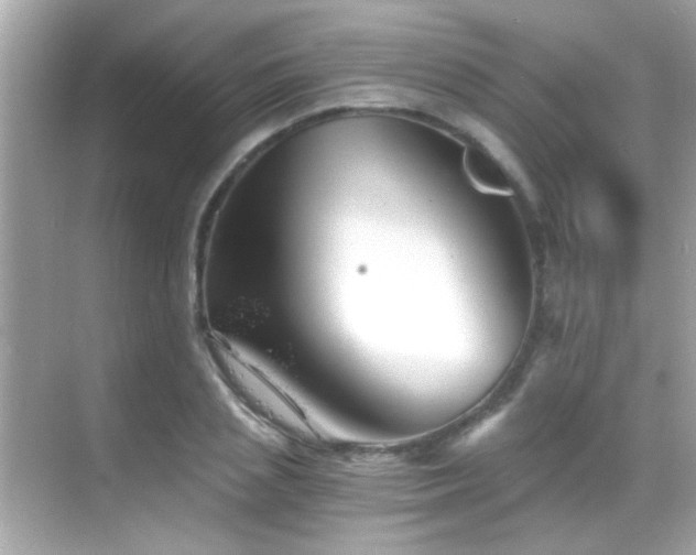 X0000068850837200605051210