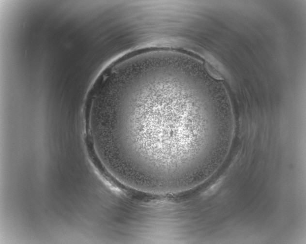 X0000068850838200605051210