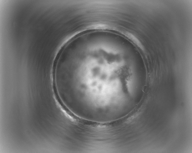 X0000068850839200605051210