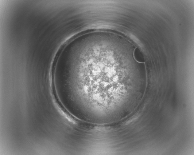 X0000068850840200605051210