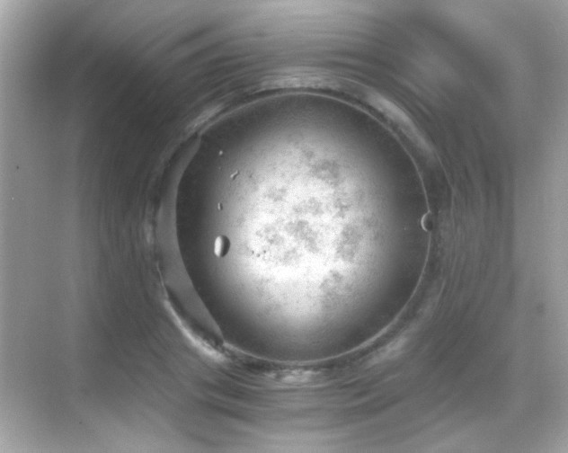 X0000068850841200605051210