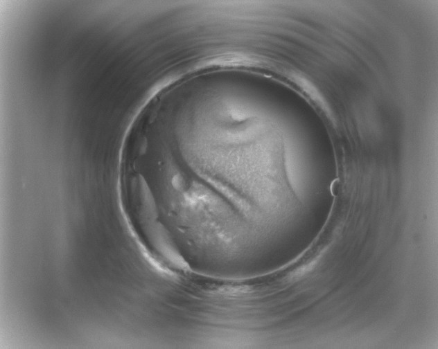 X0000068850845200605051210