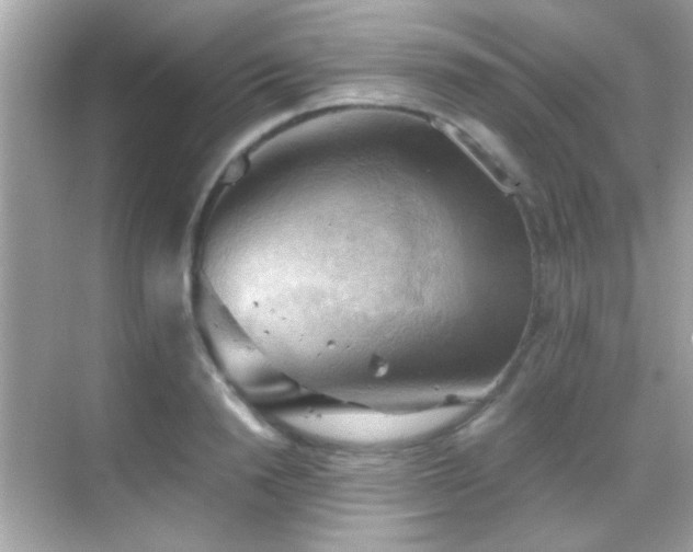 X0000068850846200605051211