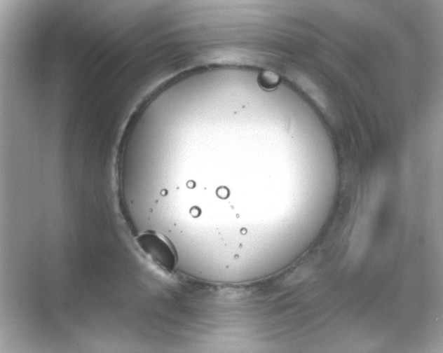 X0000068850848200605051211