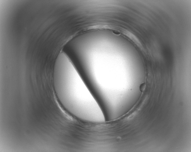 X0000068850849200605051211