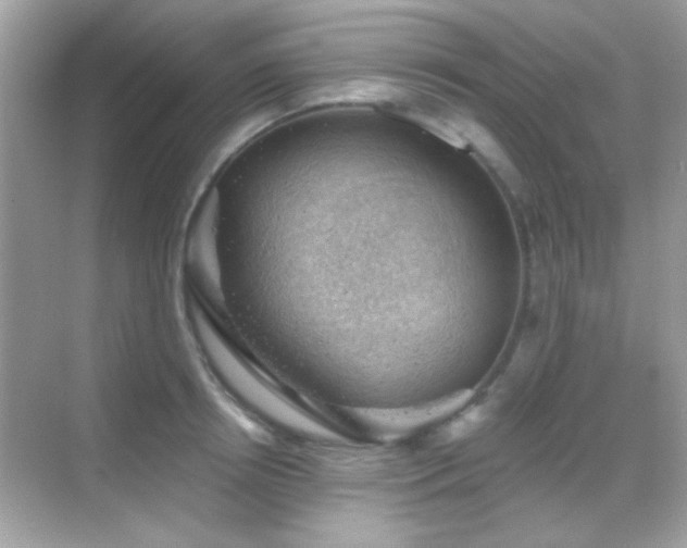 X0000068850850200605051211