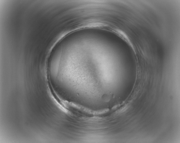 X0000068850851200605051211