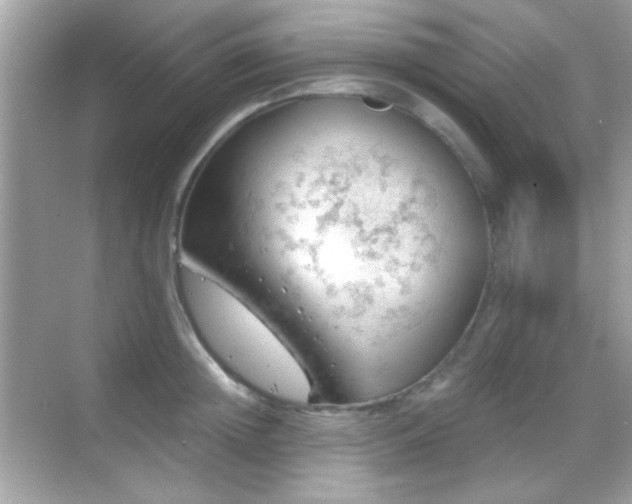 X0000068850852200605051211