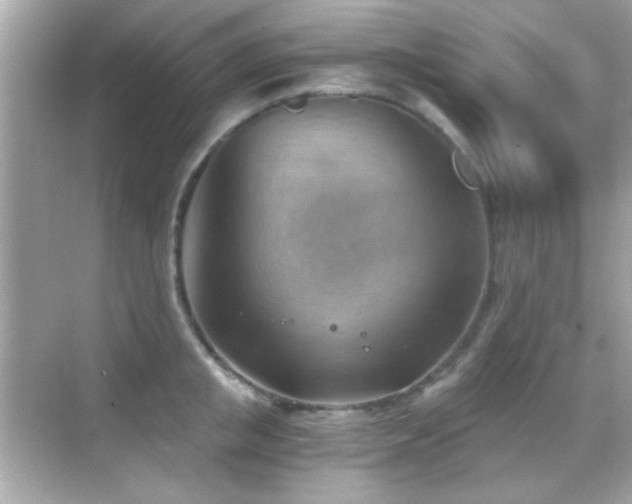 X0000068850853200605051211