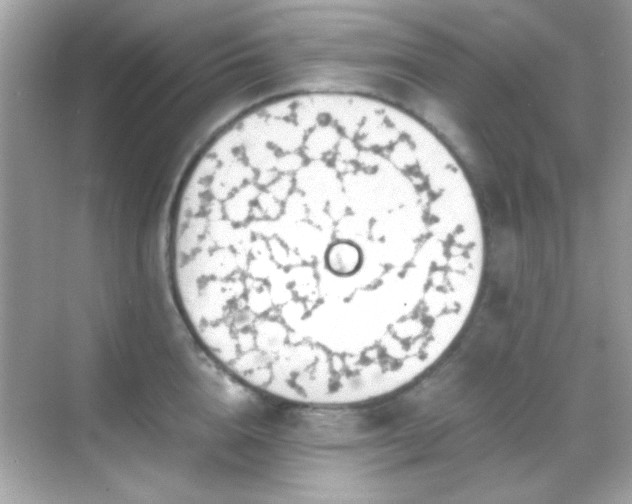 X0000068850856200605051211