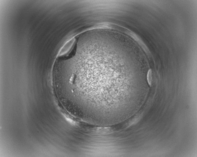 X0000068850858200605051211