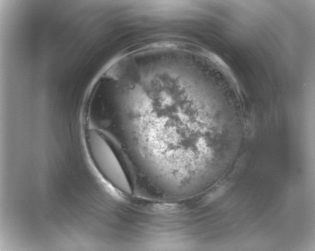 X0000068850859200605051211