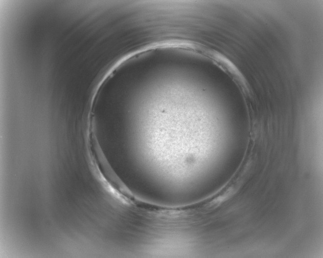 X0000068850860200605051211