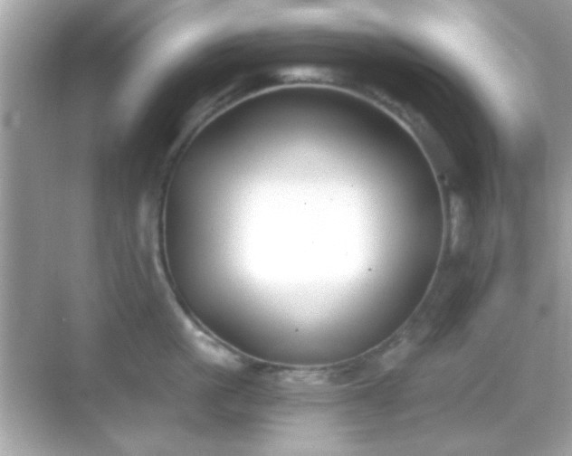 X0000068850861200605051211