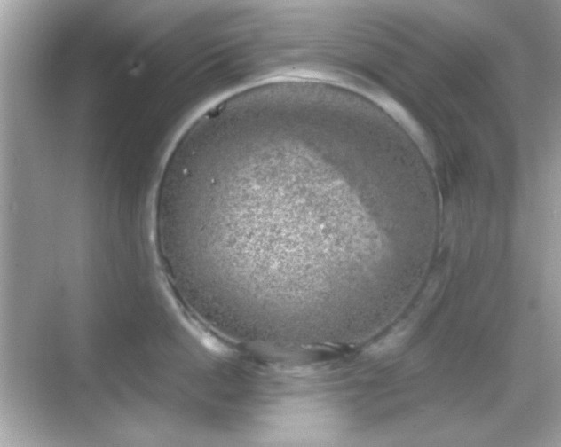 X0000068850862200605051211