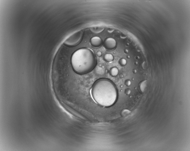 X0000068850863200605051211