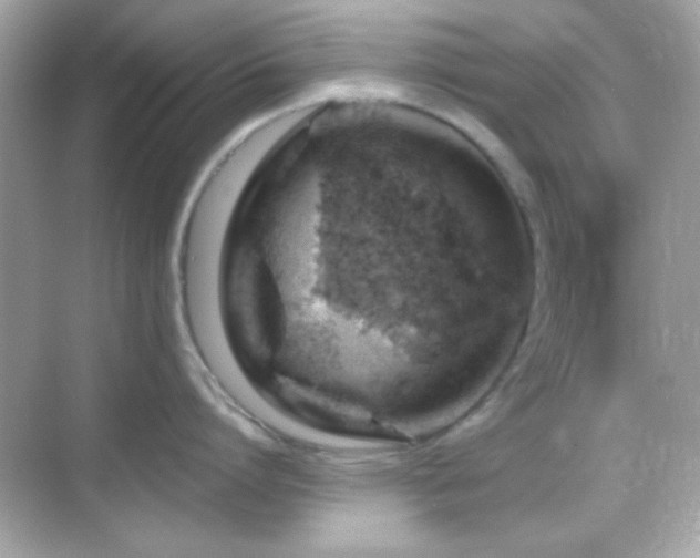 X0000068850864200605051211