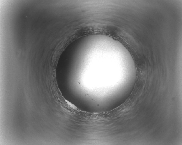 X0000068850865200605051210