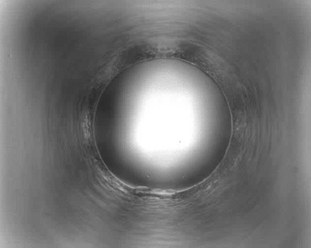 X0000068850866200605051210