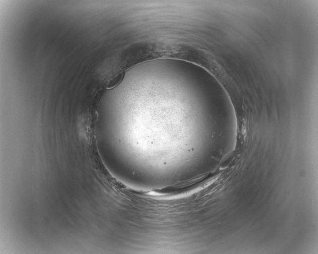 X0000068850867200605051210