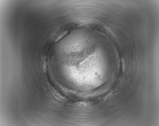 X0000068850868200605051210