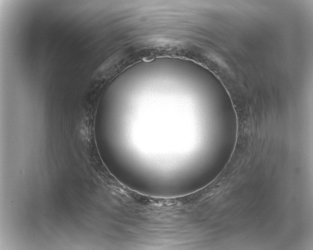 X0000068850869200605051210