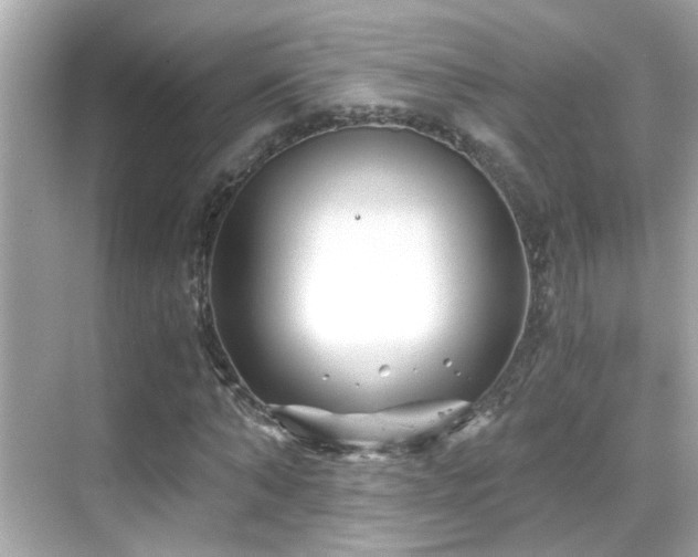 X0000068850870200605051210