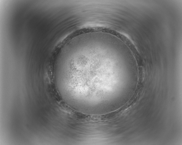 X0000068850871200605051210